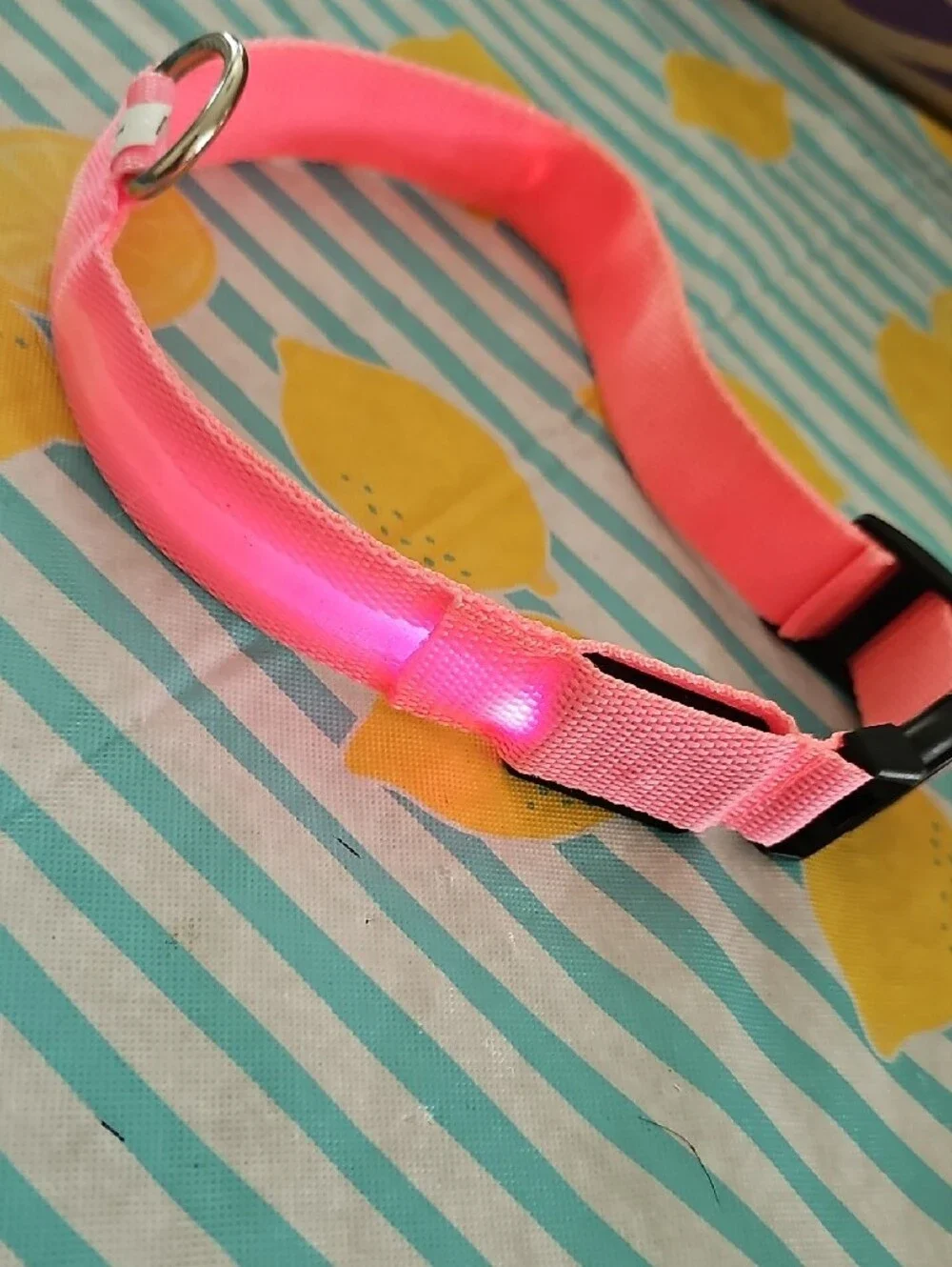 Light Up Dog Collar